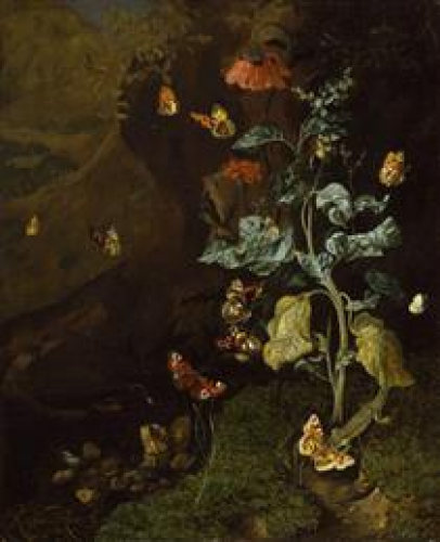 Rachel Ruysch